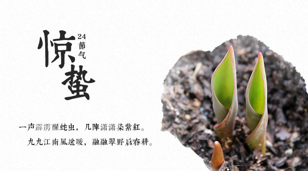 餐飲空間設計你現在不搞，那要等什么時候搞